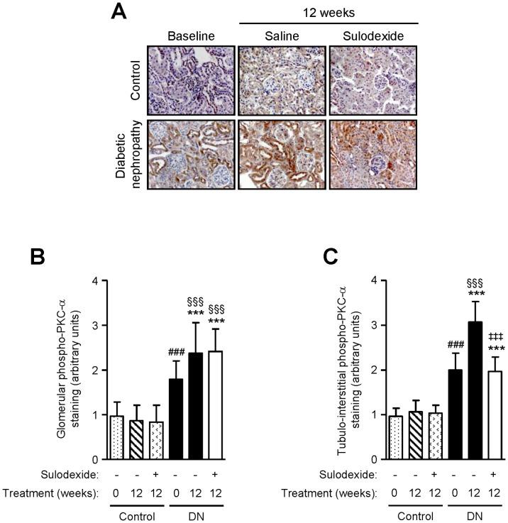 https://cdn.ncbi.nlm.nih.gov/pmc/blobs/cbe8/3551764/88346a022a48/pone.0054501.g006.jpg
