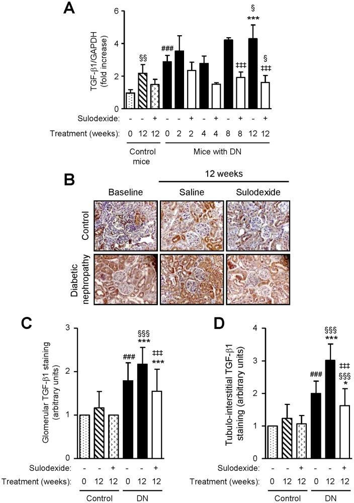https://cdn.ncbi.nlm.nih.gov/pmc/blobs/cbe8/3551764/979cb835a329/pone.0054501.g008.jpg