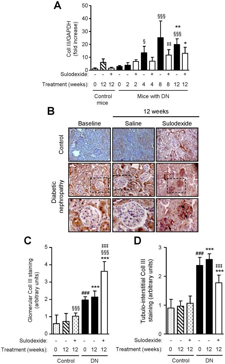 https://cdn.ncbi.nlm.nih.gov/pmc/blobs/cbe8/3551764/ee4d161f017f/pone.0054501.g011.jpg