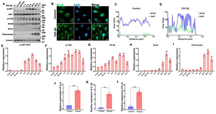 https://cdn.ncbi.nlm.nih.gov/pmc/blobs/cbe9/9857235/dd0859f9d179/cells-12-00207-g002.jpg
