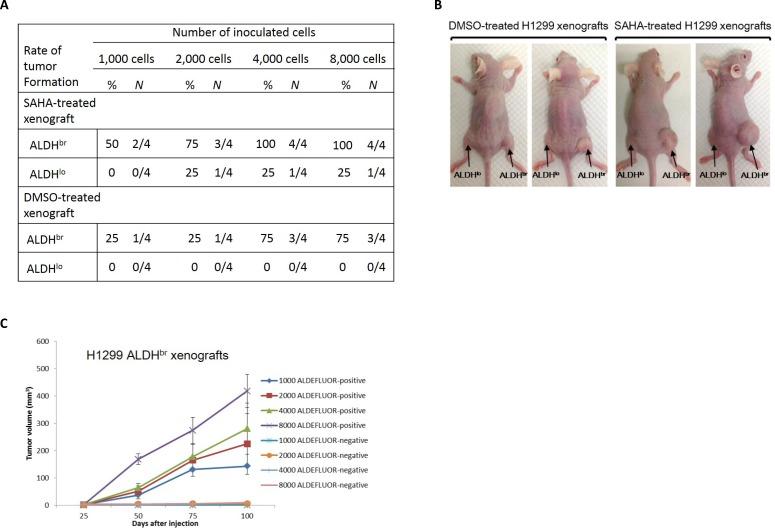 https://cdn.ncbi.nlm.nih.gov/pmc/blobs/cbea/4496174/2f95469e1d9c/oncotarget-06-8663-g006.jpg