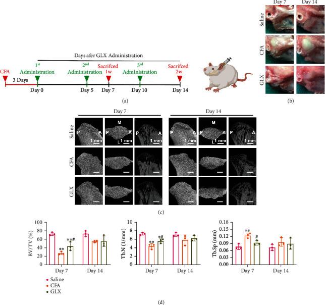 https://cdn.ncbi.nlm.nih.gov/pmc/blobs/cbea/9902131/8518db3c4387/OMCL2023-1952348.005.jpg