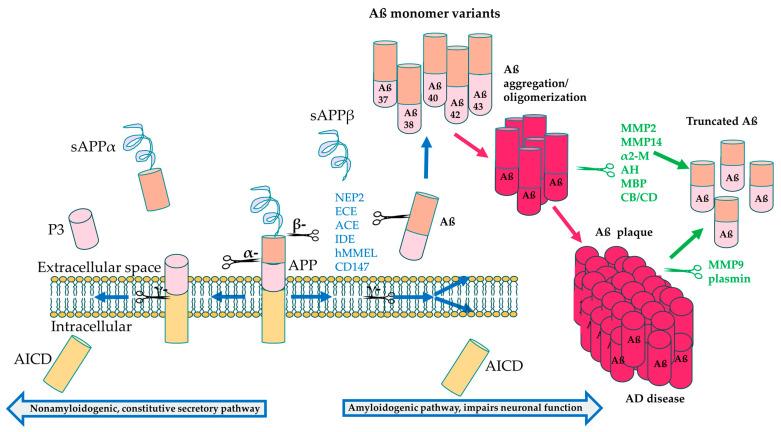 https://cdn.ncbi.nlm.nih.gov/pmc/blobs/cbee/10813760/d371a0cec35f/bioengineering-11-00045-g003.jpg