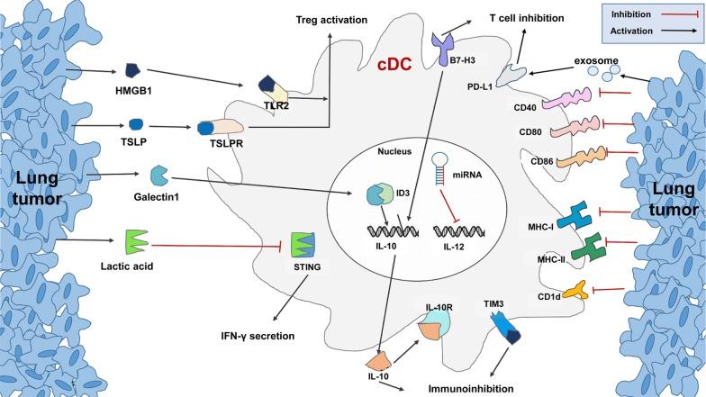 https://cdn.ncbi.nlm.nih.gov/pmc/blobs/cbf0/6631514/0504b8a67b96/40880_2019_387_Fig4_HTML.jpg