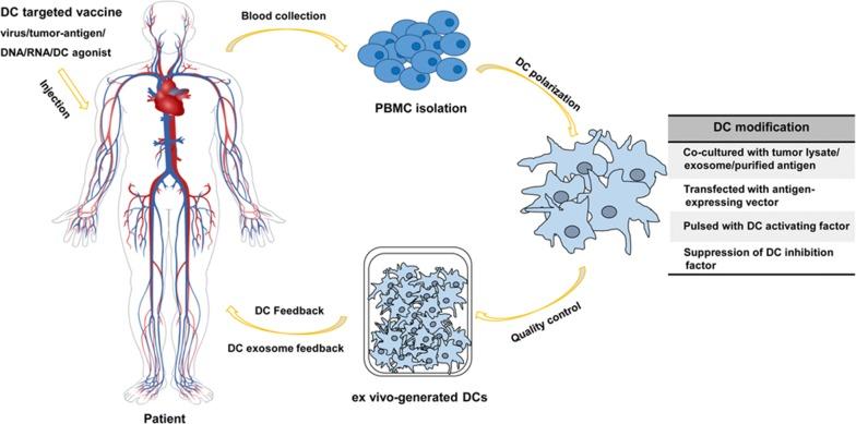 https://cdn.ncbi.nlm.nih.gov/pmc/blobs/cbf0/6631514/9920204f1e21/40880_2019_387_Fig3_HTML.jpg