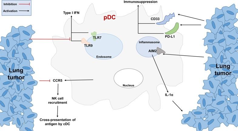 https://cdn.ncbi.nlm.nih.gov/pmc/blobs/cbf0/6631514/ce8a36bb4874/40880_2019_387_Fig2_HTML.jpg