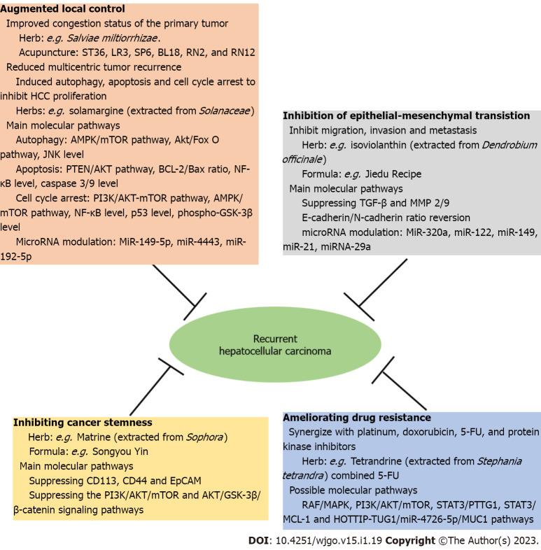 https://cdn.ncbi.nlm.nih.gov/pmc/blobs/cbf1/9850766/d510c1af7ac9/WJGO-15-19-g001.jpg
