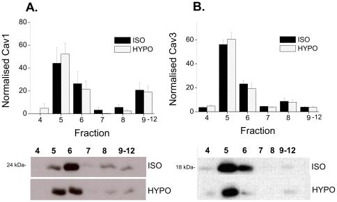 https://cdn.ncbi.nlm.nih.gov/pmc/blobs/cbf2/2788708/185392267f28/pone.0008312.g004.jpg