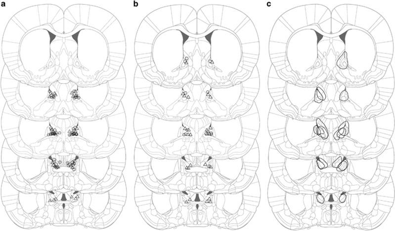 https://cdn.ncbi.nlm.nih.gov/pmc/blobs/cbf2/5438032/c2fbf964bb9f/tp20172f1.jpg