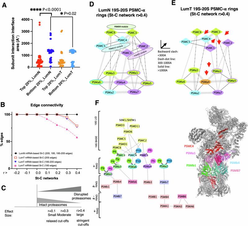 https://cdn.ncbi.nlm.nih.gov/pmc/blobs/cbf3/11735796/0cd1d87360a4/42003_2024_7432_Fig3_HTML.jpg