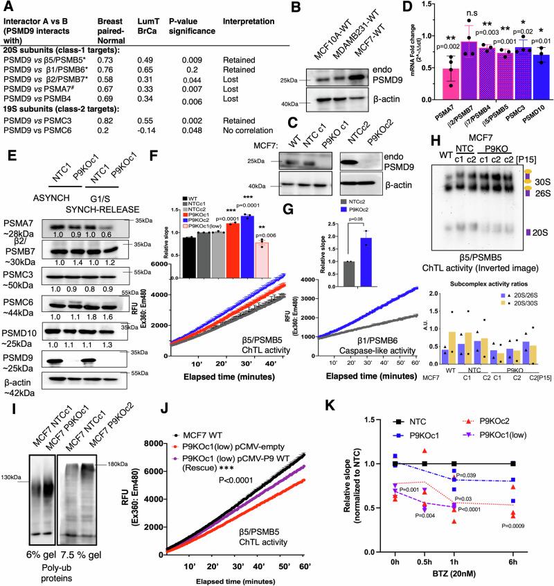 https://cdn.ncbi.nlm.nih.gov/pmc/blobs/cbf3/11735796/e1431599ba25/42003_2024_7432_Fig6_HTML.jpg
