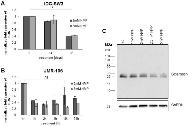 https://cdn.ncbi.nlm.nih.gov/pmc/blobs/cbf3/6275050/d964d11fc04e/ijms-19-03332-g002.jpg