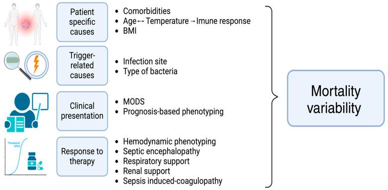 https://cdn.ncbi.nlm.nih.gov/pmc/blobs/cbf5/11596881/04619ea06181/medicina-60-01740-g002.jpg