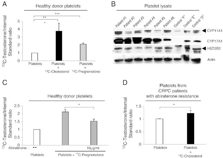 https://cdn.ncbi.nlm.nih.gov/pmc/blobs/cbfb/4719002/99b36e8bb8b0/gr1.jpg