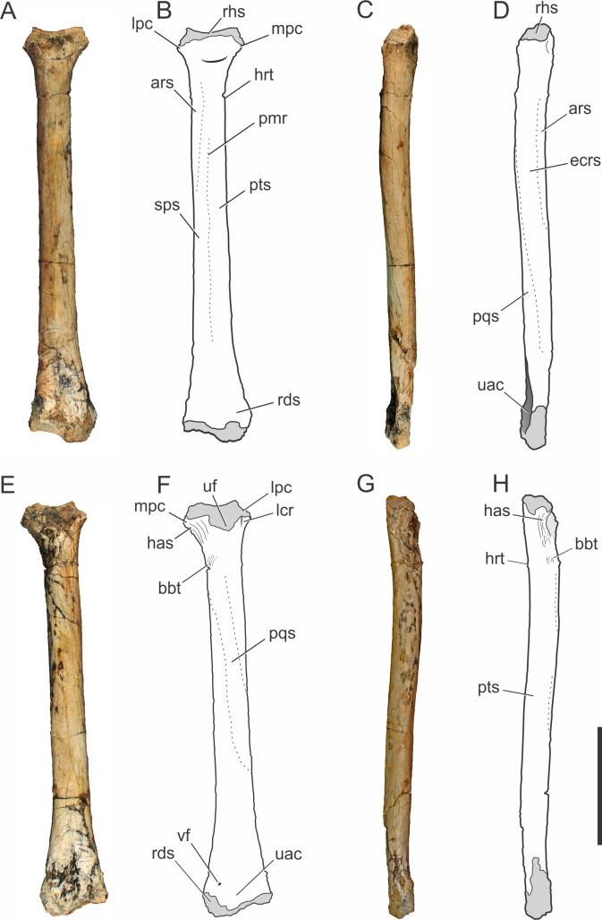 https://cdn.ncbi.nlm.nih.gov/pmc/blobs/cbfb/4888301/3a62d3ee1b54/peerj-04-2075-g004.jpg