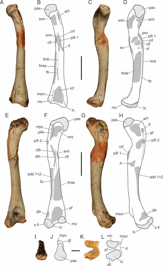 https://cdn.ncbi.nlm.nih.gov/pmc/blobs/cbfb/4888301/4ec4449c50c8/peerj-04-2075-g008.jpg