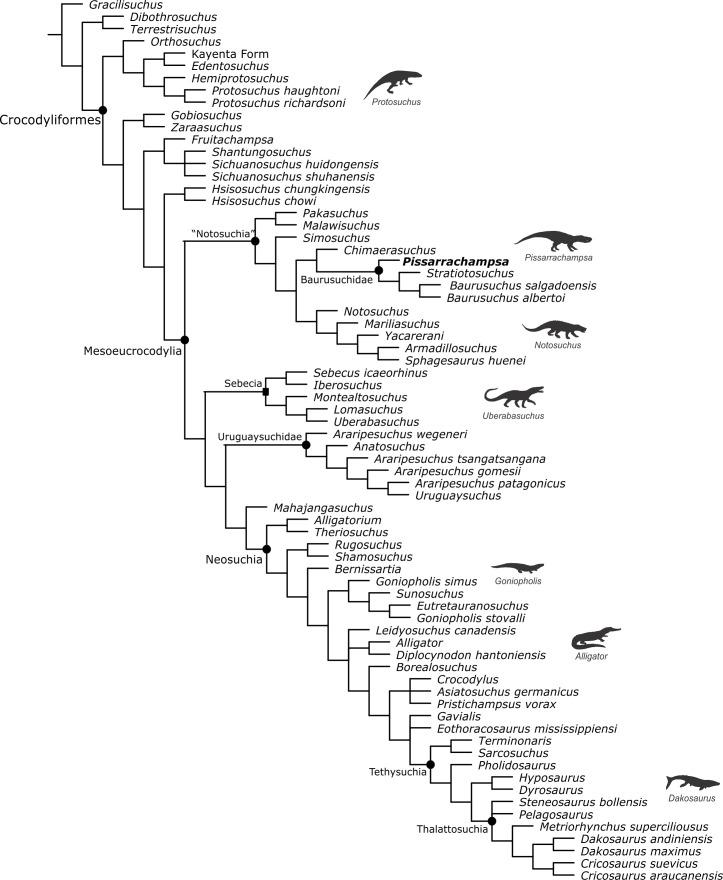 https://cdn.ncbi.nlm.nih.gov/pmc/blobs/cbfb/4888301/5b98f64b12dd/peerj-04-2075-g014.jpg