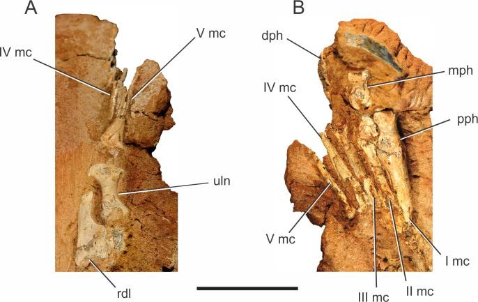 https://cdn.ncbi.nlm.nih.gov/pmc/blobs/cbfb/4888301/748dd8fee700/peerj-04-2075-g005.jpg