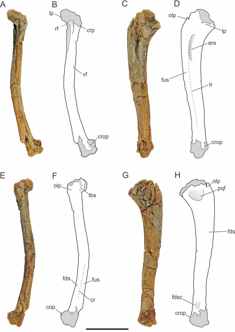 https://cdn.ncbi.nlm.nih.gov/pmc/blobs/cbfb/4888301/c6bdf12bd8d7/peerj-04-2075-g002.jpg