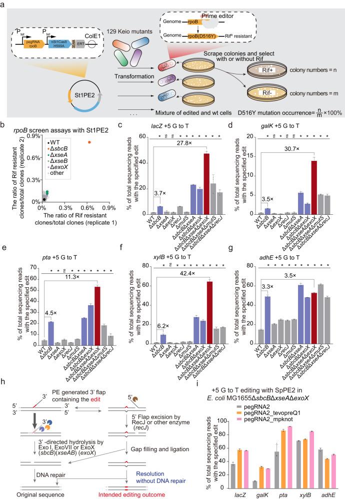 https://cdn.ncbi.nlm.nih.gov/pmc/blobs/cbfe/10821919/e265b3335569/41467_2024_45114_Fig2_HTML.jpg