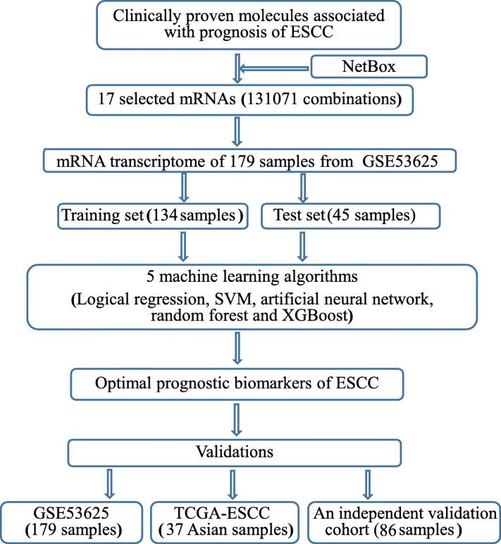 https://cdn.ncbi.nlm.nih.gov/pmc/blobs/cbfe/8351329/23b5a448ddef/12885_2021_8647_Fig1_HTML.jpg