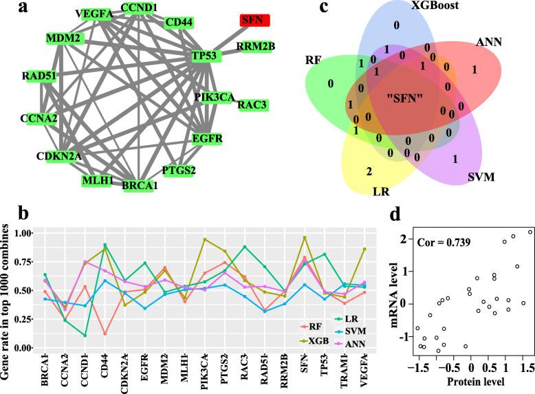 https://cdn.ncbi.nlm.nih.gov/pmc/blobs/cbfe/8351329/3d65dc2f1b90/12885_2021_8647_Fig2_HTML.jpg