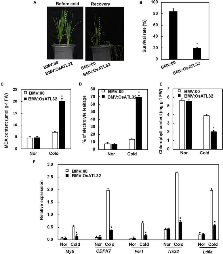 https://cdn.ncbi.nlm.nih.gov/pmc/blobs/cbff/8924586/646b44c650e0/fpls-13-840360-g006.jpg