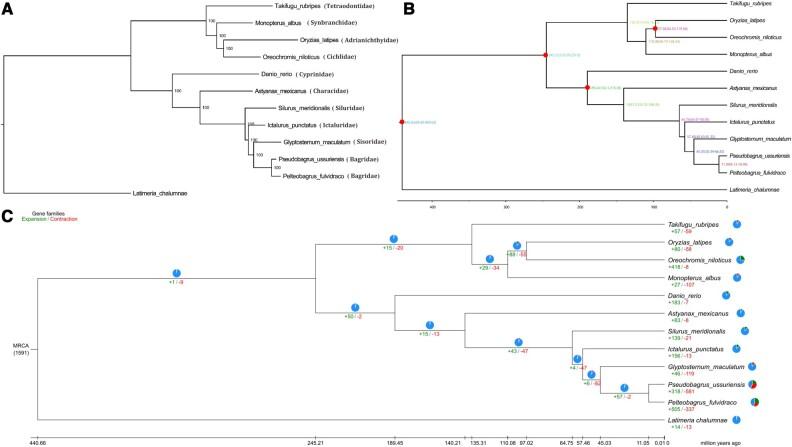 https://cdn.ncbi.nlm.nih.gov/pmc/blobs/cc00/9358014/b9a6ae3be519/dsac028f2.jpg