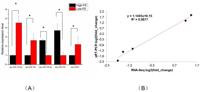 https://cdn.ncbi.nlm.nih.gov/pmc/blobs/cc00/9778086/2b3272f99c49/genes-13-02406-g004.jpg