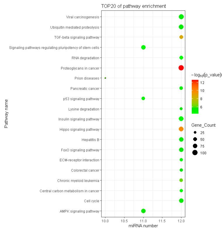 https://cdn.ncbi.nlm.nih.gov/pmc/blobs/cc00/9778086/ca03a1a2ae18/genes-13-02406-g006.jpg