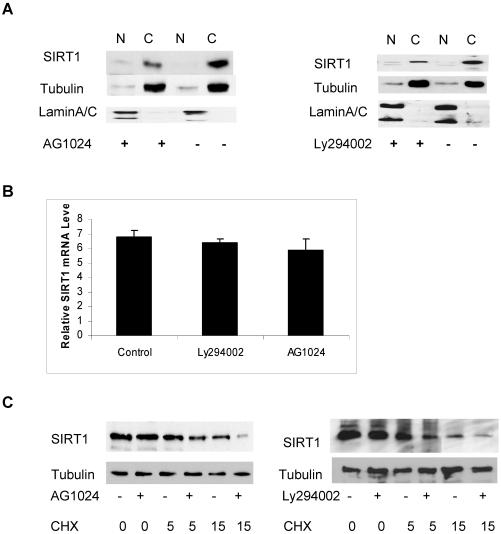 https://cdn.ncbi.nlm.nih.gov/pmc/blobs/cc01/2952410/3e524a81f560/ijbsv06p0599g04.jpg