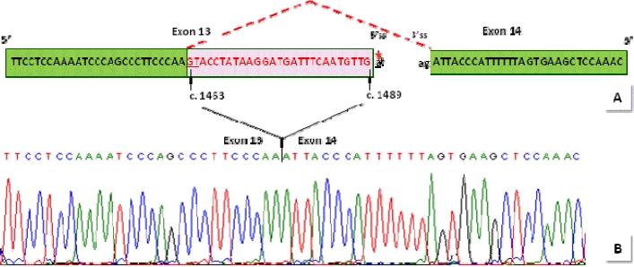https://cdn.ncbi.nlm.nih.gov/pmc/blobs/cc01/3052420/6b71c355bcf7/humu0031-E1894-f3.jpg