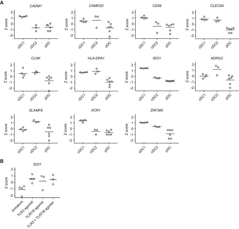 https://cdn.ncbi.nlm.nih.gov/pmc/blobs/cc02/8251546/7e2bf2506016/EJI-51-1494-g005.jpg