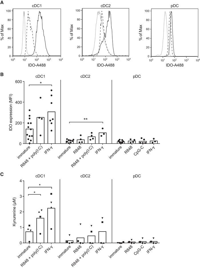 https://cdn.ncbi.nlm.nih.gov/pmc/blobs/cc02/8251546/d5938be450fd/EJI-51-1494-g004.jpg