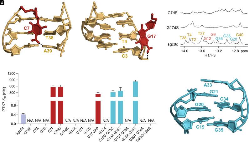 https://cdn.ncbi.nlm.nih.gov/pmc/blobs/cc03/11260122/80243775baff/pnas.2404060121fig03.jpg