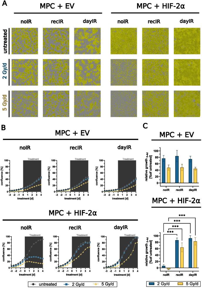 https://cdn.ncbi.nlm.nih.gov/pmc/blobs/cc03/12344521/9c44708e95e8/fonc-15-1517132-g003.jpg