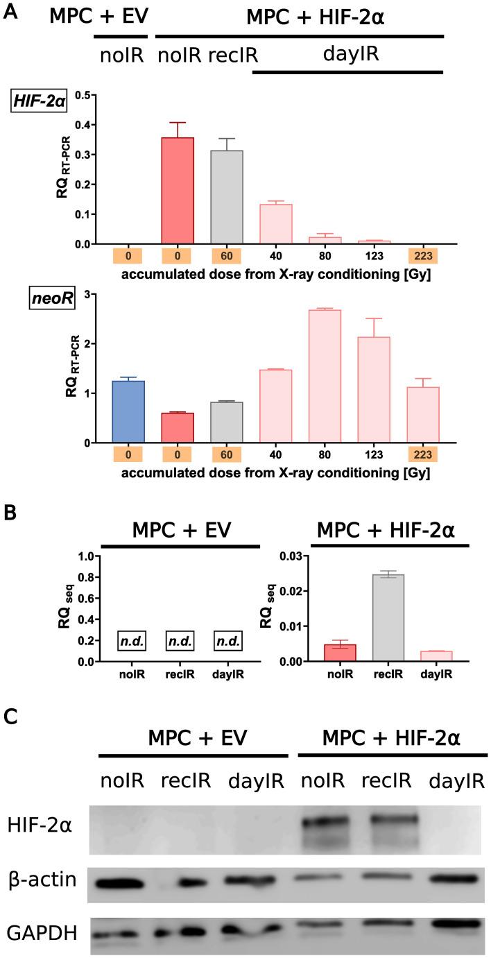 https://cdn.ncbi.nlm.nih.gov/pmc/blobs/cc03/12344521/cc5ea07f0434/fonc-15-1517132-g002.jpg