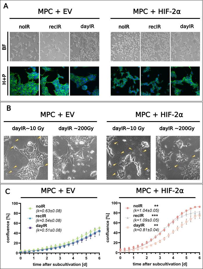 https://cdn.ncbi.nlm.nih.gov/pmc/blobs/cc03/12344521/e9810c5e6a7c/fonc-15-1517132-g001.jpg