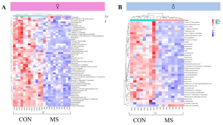 https://cdn.ncbi.nlm.nih.gov/pmc/blobs/cc05/11674698/df0ff12e6029/brainsci-14-01275-g008.jpg
