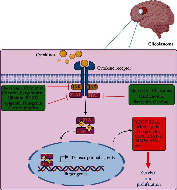 https://cdn.ncbi.nlm.nih.gov/pmc/blobs/cc05/9526628/2950ad0c6be4/OMCL2022-7838583.002.jpg