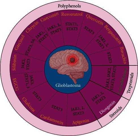 https://cdn.ncbi.nlm.nih.gov/pmc/blobs/cc05/9526628/52202bce7236/OMCL2022-7838583.001.jpg