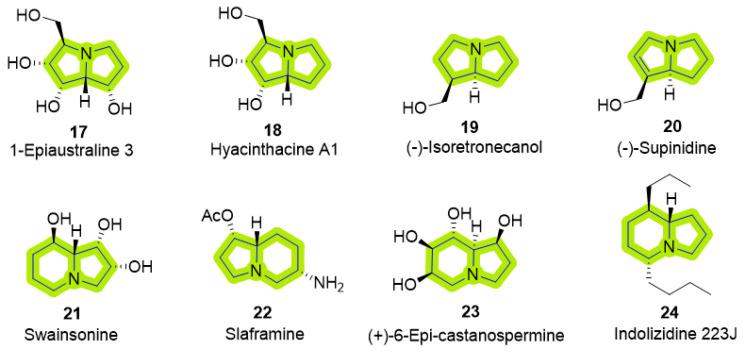 https://cdn.ncbi.nlm.nih.gov/pmc/blobs/cc06/11643519/f9bd14b109b3/molecules-29-05726-g003.jpg