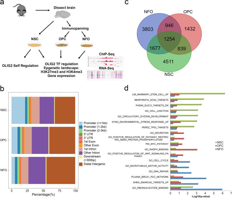 https://cdn.ncbi.nlm.nih.gov/pmc/blobs/cc09/8235854/89ec9efaaf68/12915_2021_1057_Fig1_HTML.jpg