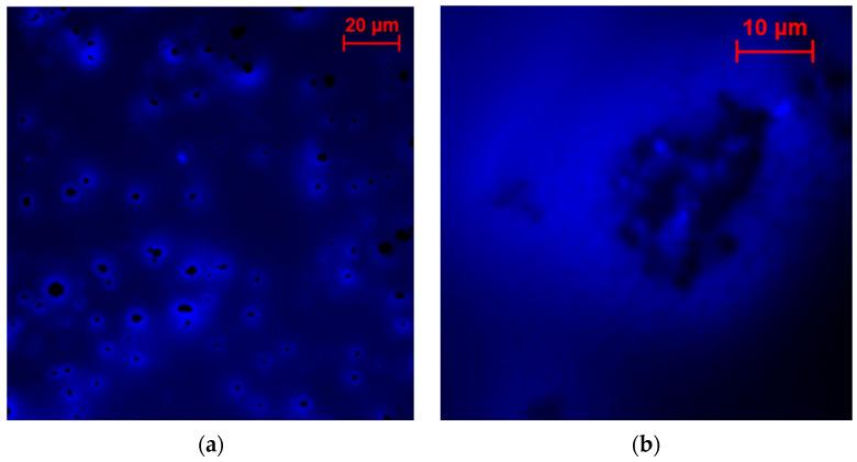 https://cdn.ncbi.nlm.nih.gov/pmc/blobs/cc0b/11124491/341253d20c63/molecules-29-02324-g010.jpg