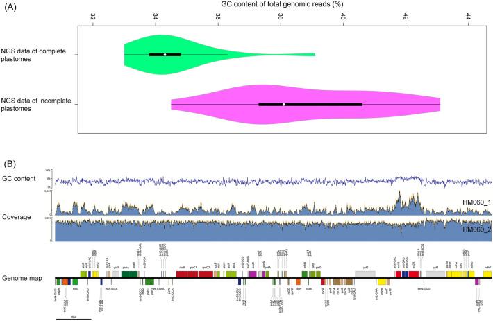 https://cdn.ncbi.nlm.nih.gov/pmc/blobs/cc0b/9729603/c1dc323c1f1d/41598_2022_25381_Fig1_HTML.jpg