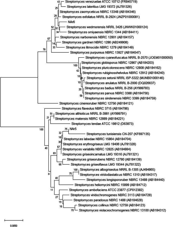 https://cdn.ncbi.nlm.nih.gov/pmc/blobs/cc0c/8053276/6ddd62981948/12866_2021_2175_Fig5_HTML.jpg