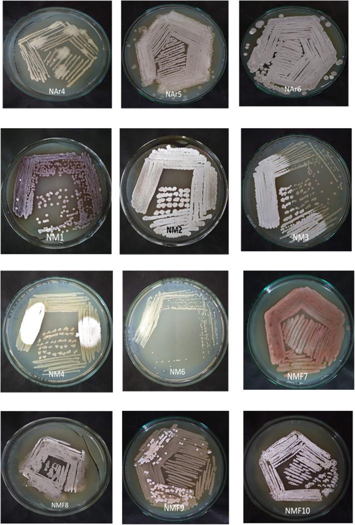 https://cdn.ncbi.nlm.nih.gov/pmc/blobs/cc0c/8053276/7043c1a37fd5/12866_2021_2175_Fig3_HTML.jpg