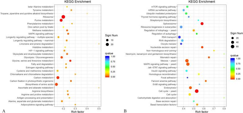 https://cdn.ncbi.nlm.nih.gov/pmc/blobs/cc0f/10091661/be899c91b165/13068_2023_2312_Fig8_HTML.jpg