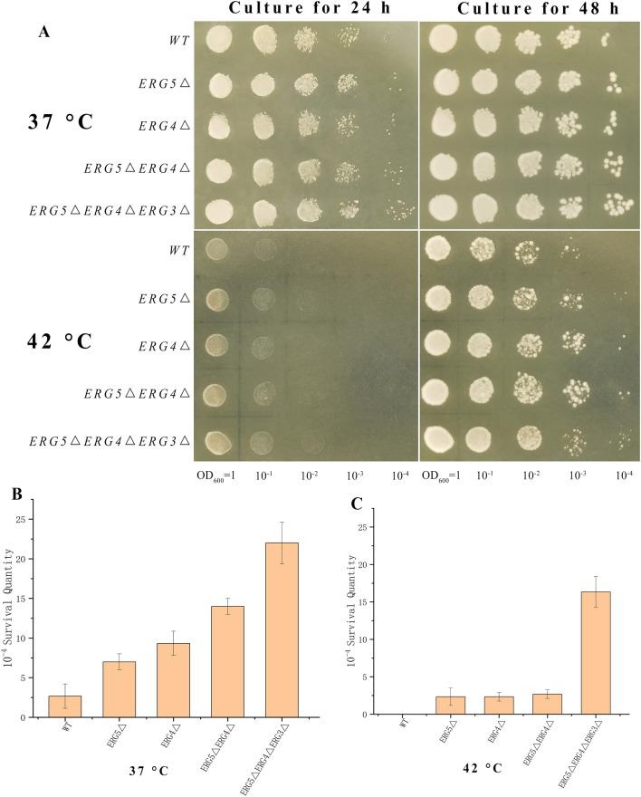 https://cdn.ncbi.nlm.nih.gov/pmc/blobs/cc0f/10091661/c7b7108938a2/13068_2023_2312_Fig4_HTML.jpg