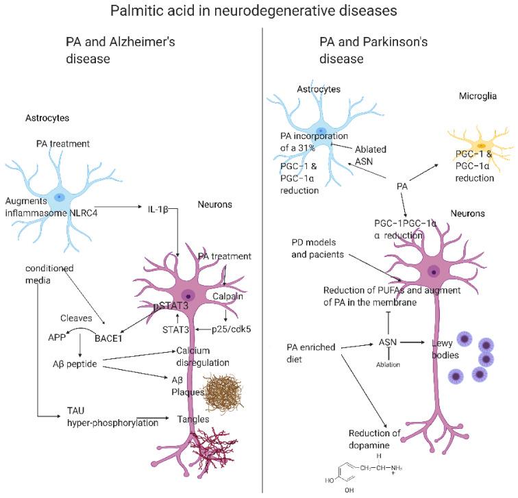 https://cdn.ncbi.nlm.nih.gov/pmc/blobs/cc0f/8910658/00ba47c40dcb/ijms-23-02577-g003.jpg